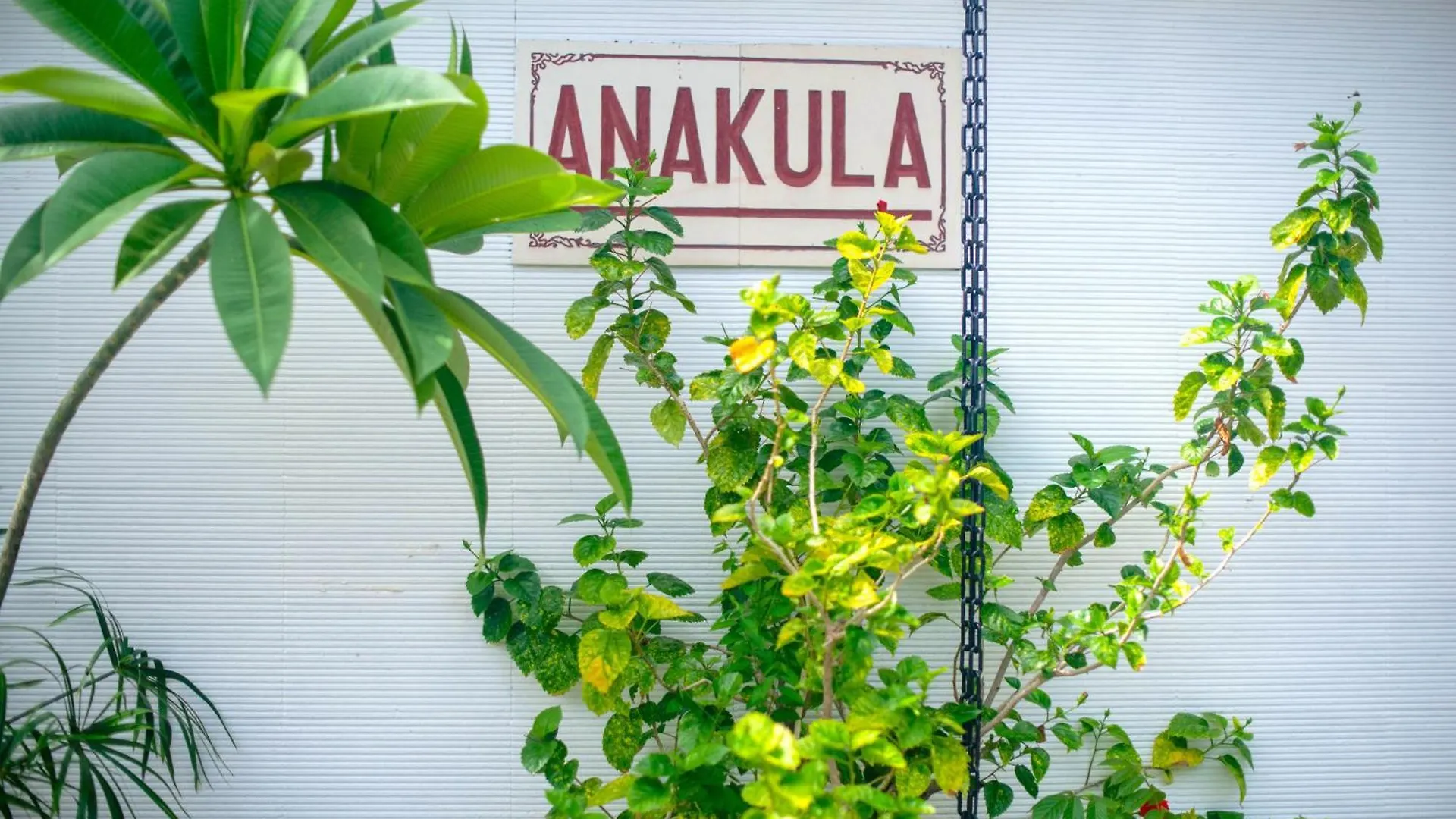Anakula 3 - Amazing 2 Bedroom Private Pool Villa Seminyak